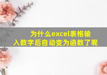 为什么excel表格输入数字后自动变为函数了呢