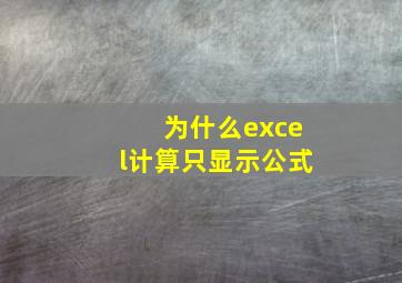 为什么excel计算只显示公式