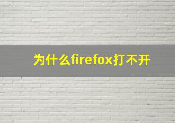 为什么firefox打不开