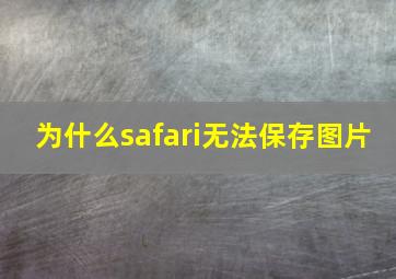 为什么safari无法保存图片