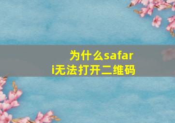 为什么safari无法打开二维码