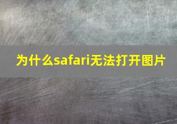 为什么safari无法打开图片