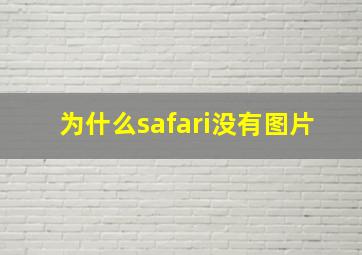 为什么safari没有图片