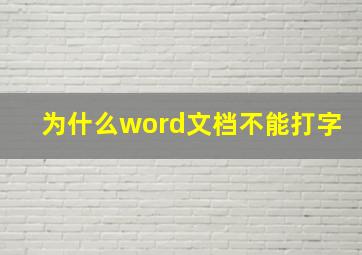 为什么word文档不能打字