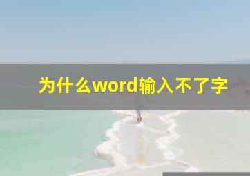 为什么word输入不了字