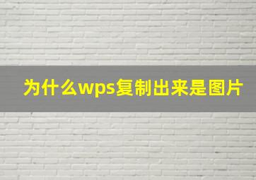 为什么wps复制出来是图片