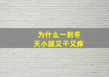 为什么一到冬天小腿又干又痒