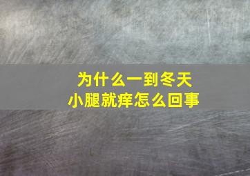 为什么一到冬天小腿就痒怎么回事