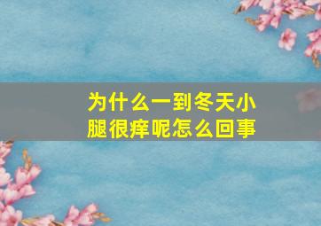 为什么一到冬天小腿很痒呢怎么回事