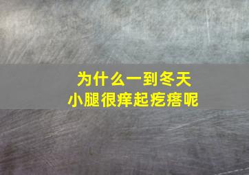 为什么一到冬天小腿很痒起疙瘩呢