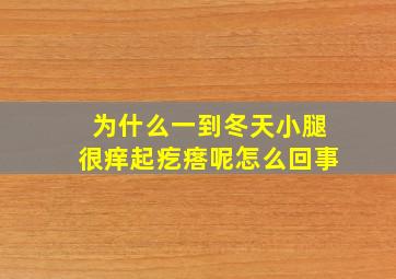 为什么一到冬天小腿很痒起疙瘩呢怎么回事