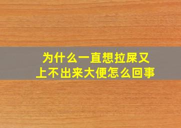 为什么一直想拉屎又上不出来大便怎么回事