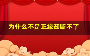 为什么不是正缘却断不了