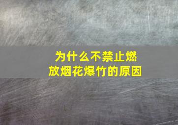 为什么不禁止燃放烟花爆竹的原因