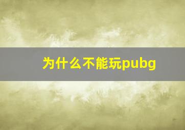 为什么不能玩pubg