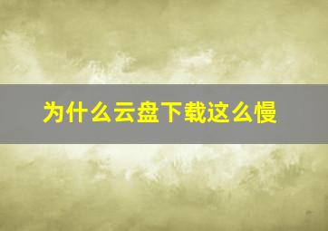 为什么云盘下载这么慢