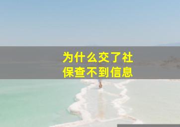 为什么交了社保查不到信息