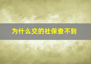 为什么交的社保查不到