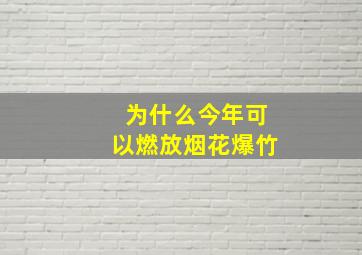 为什么今年可以燃放烟花爆竹