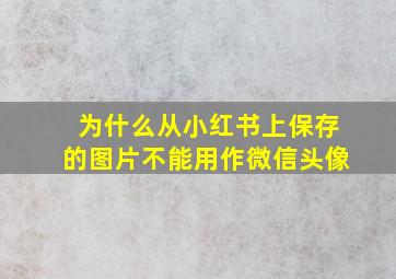 为什么从小红书上保存的图片不能用作微信头像