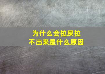 为什么会拉屎拉不出来是什么原因