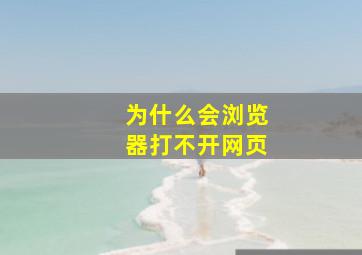 为什么会浏览器打不开网页