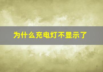 为什么充电灯不显示了