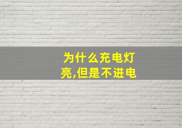 为什么充电灯亮,但是不进电