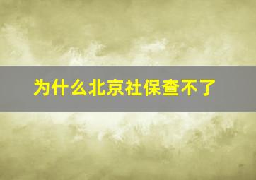 为什么北京社保查不了