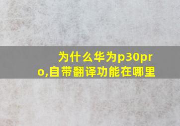 为什么华为p30pro,自带翻译功能在哪里