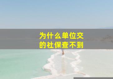 为什么单位交的社保查不到