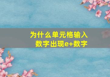 为什么单元格输入数字出现e+数字