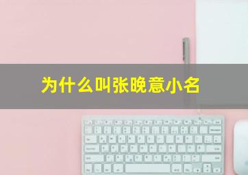 为什么叫张晚意小名