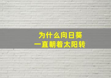 为什么向日葵一直朝着太阳转