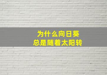 为什么向日葵总是随着太阳转