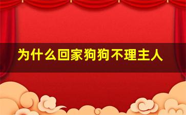 为什么回家狗狗不理主人