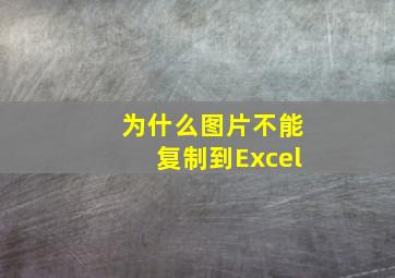 为什么图片不能复制到Excel