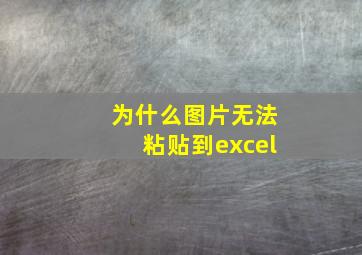 为什么图片无法粘贴到excel