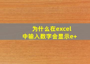 为什么在excel中输入数字会显示e+