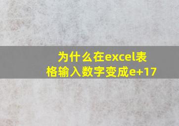 为什么在excel表格输入数字变成e+17