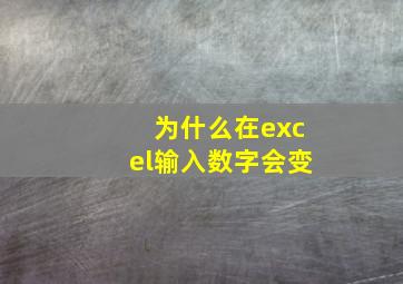 为什么在excel输入数字会变