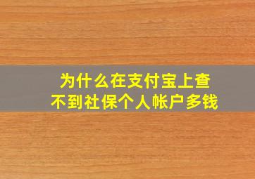 为什么在支付宝上查不到社保个人帐户多钱