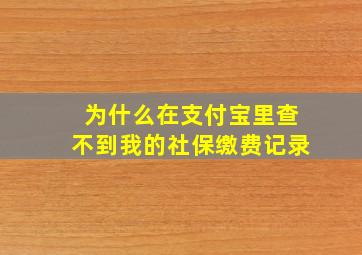 为什么在支付宝里查不到我的社保缴费记录