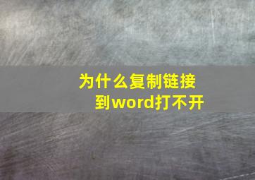 为什么复制链接到word打不开