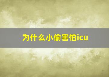 为什么小偷害怕icu