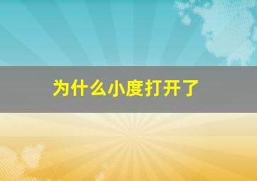 为什么小度打开了