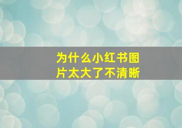 为什么小红书图片太大了不清晰