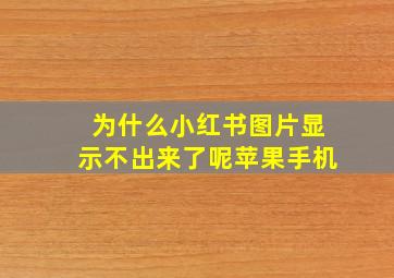 为什么小红书图片显示不出来了呢苹果手机