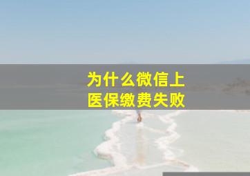 为什么微信上医保缴费失败