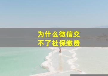 为什么微信交不了社保缴费